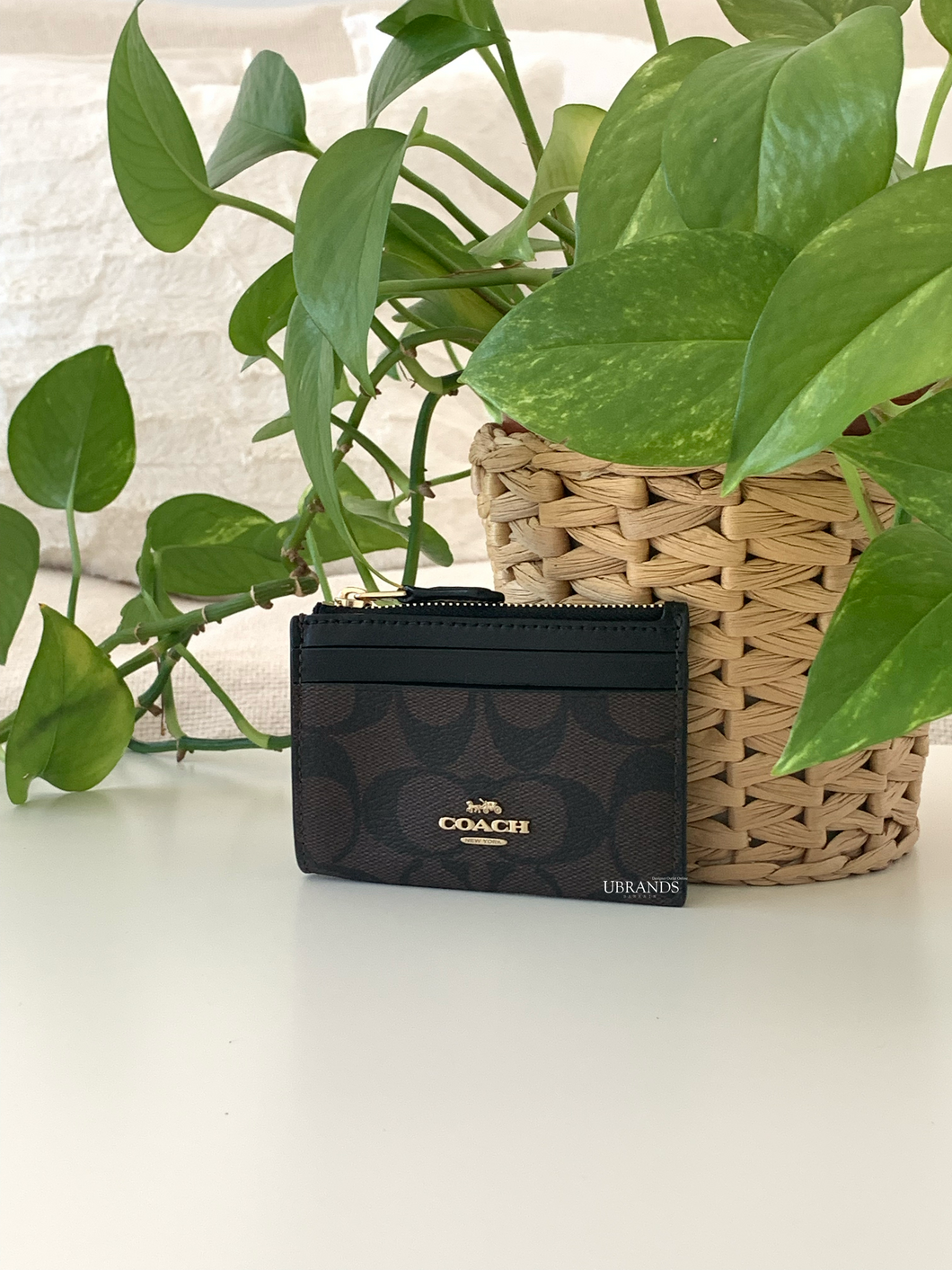 Preorder Coach card holder